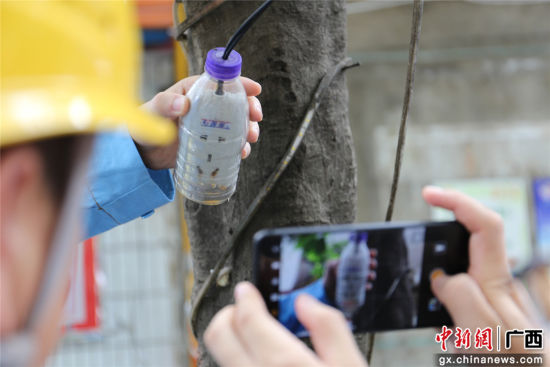 住戶為防止雨天插座漏電而套上的塑料瓶中積水明顯，存在漏電隱患。謝耘 攝